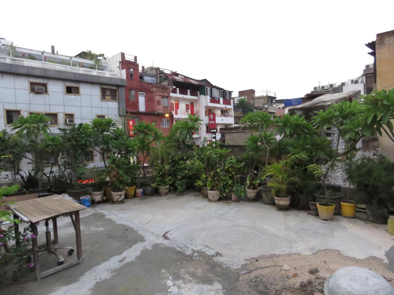 Comfort Stay Hostel New Delhi Eksteriør billede